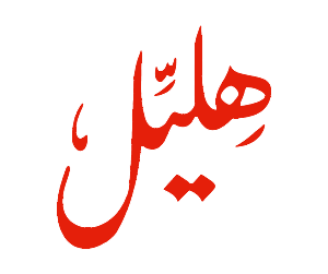 1672844343_helil